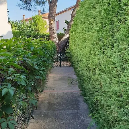 T2 Rdc à 100m De La Avec Terrasse Et Jardinet - 4 Couchages - Fr-1-388-1 * Argelès-sur-Mer