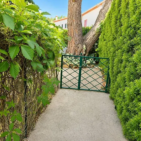 T2 Rdc A 100m De La Avec Terrasse Et Jardinet - 4 Couchages - Fr-1-388-1